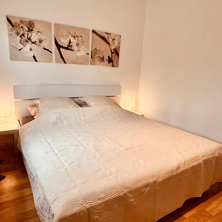 Business & Monteur Zentrum شقة